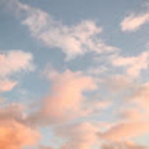 Meet your Posher, Kira